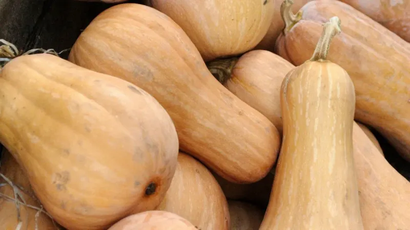 Remove fruit that is already softening