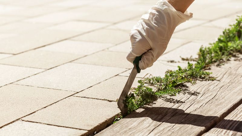 Remove weeds and old joint material