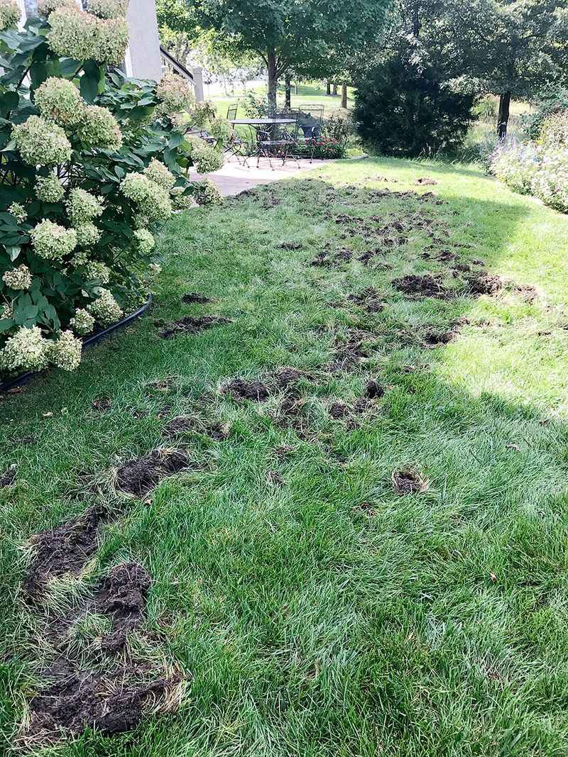 Repair Damage Fast So Soil Stays Firm