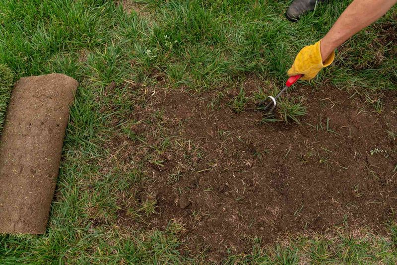Repair disturbed turf and keep cleanup in perspective