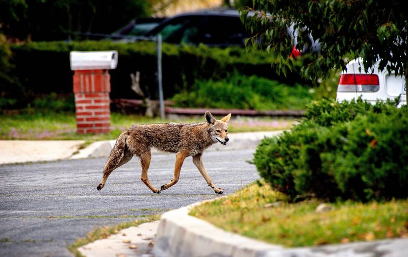 Respond to an encounter without closing distance