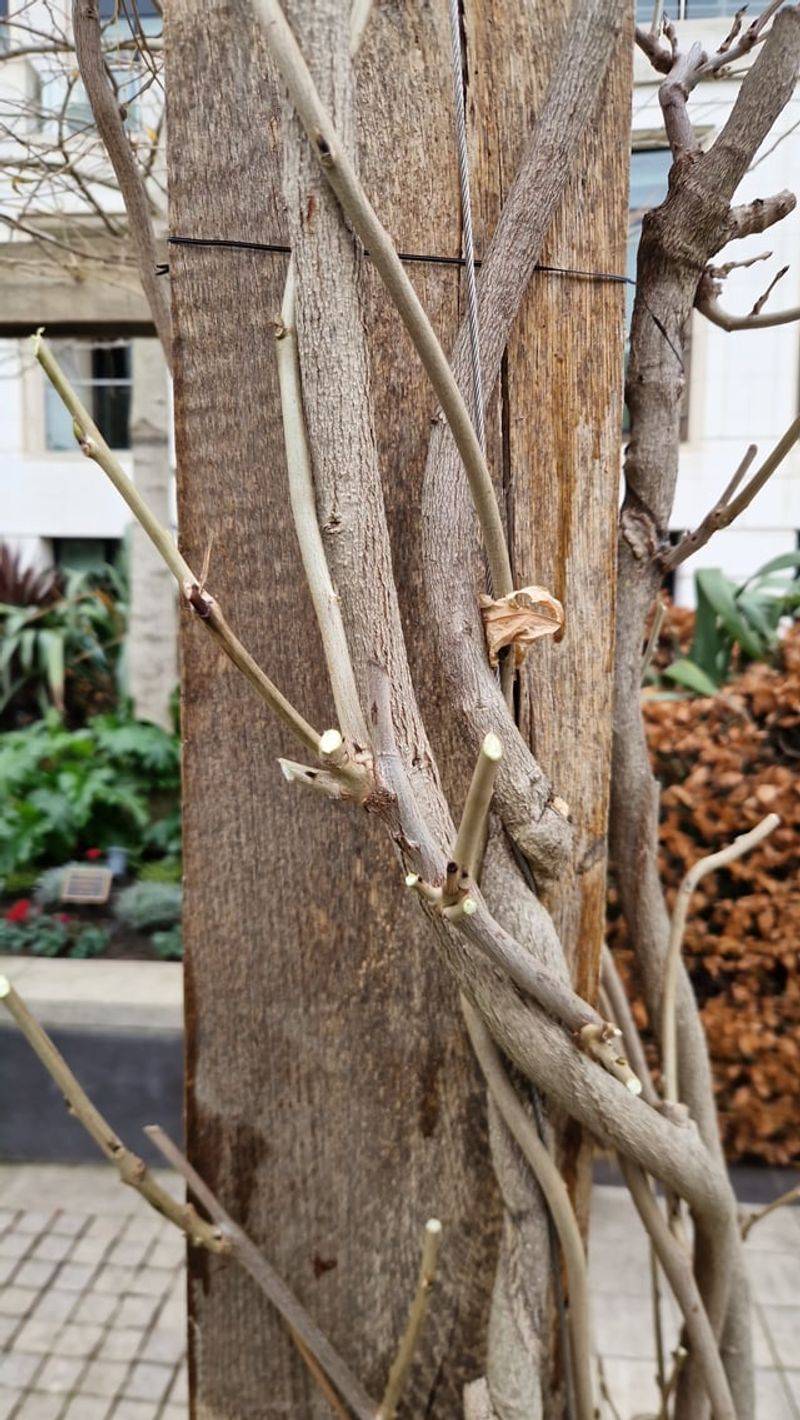 Review what and when you prune