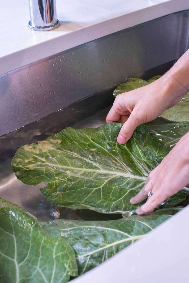Rinse harvested leaves under running water