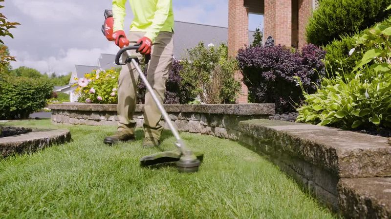 Running a String Trimmer Along Fences and Shrubs