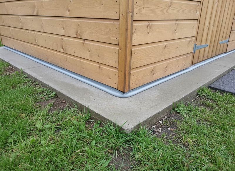 Seal the shed and remove what attracts rats Seal the shed and remove what attracts rats