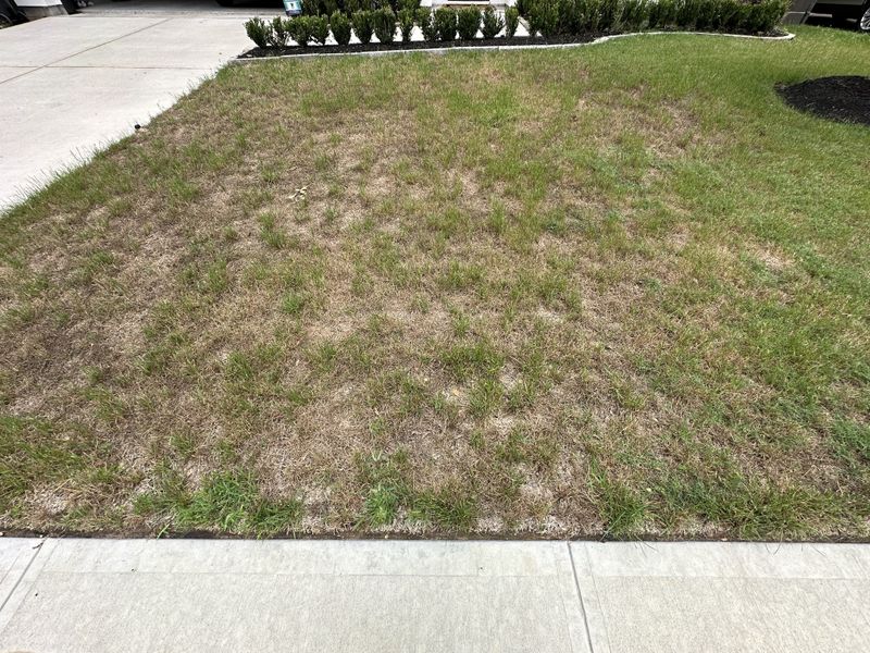 Seeding Cool-Season Grass Over a Warm-Season Lawn Seeding Cool-Season Grass Over a Warm-Season Lawn