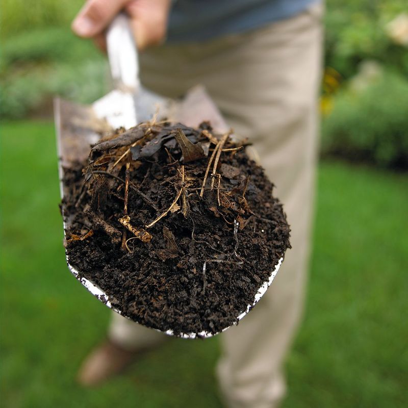 Set realistic expectations for clay soil