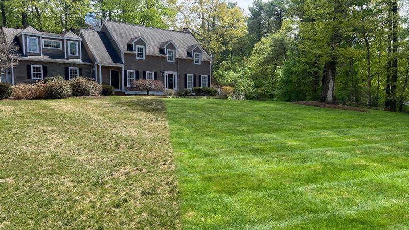 Set up a healthier spring return, not a guaranteed thick lawn