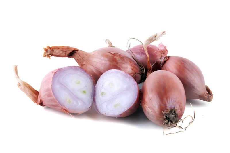 Shallots follow a different size recommendation Shallots follow a different size recommendation