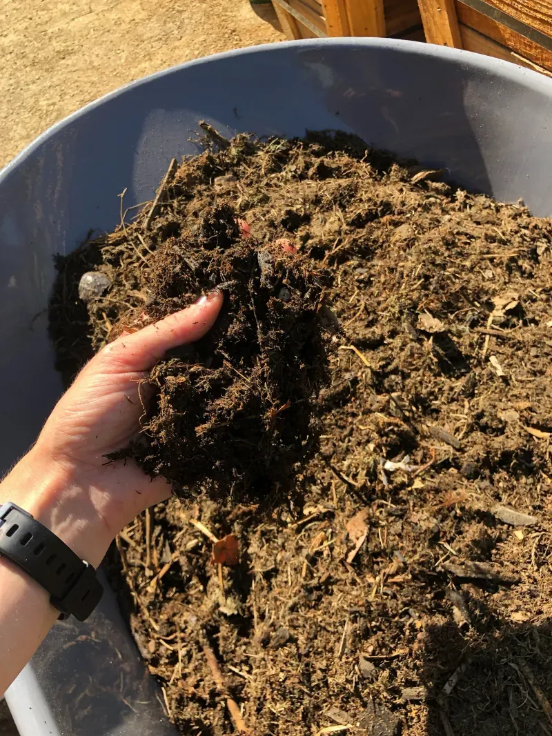 Shred and care for the pile to support decomposition