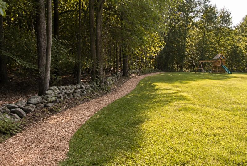 Skipping a Dry Border Between Woods and Lawn