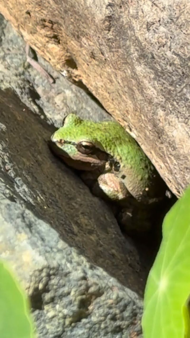 Slug patrol is a bonus, not a promise Slug patrol is a bonus, not a promise