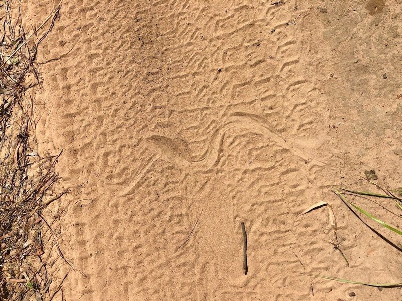 Smooth S-shaped tracks in soft soil