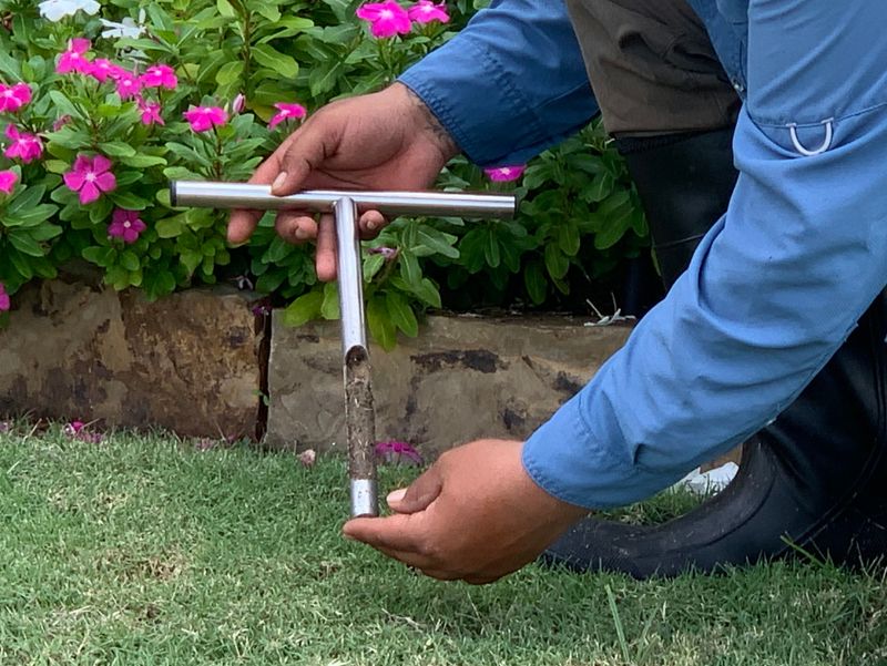 Start with a soil test, not a fertilizer guess