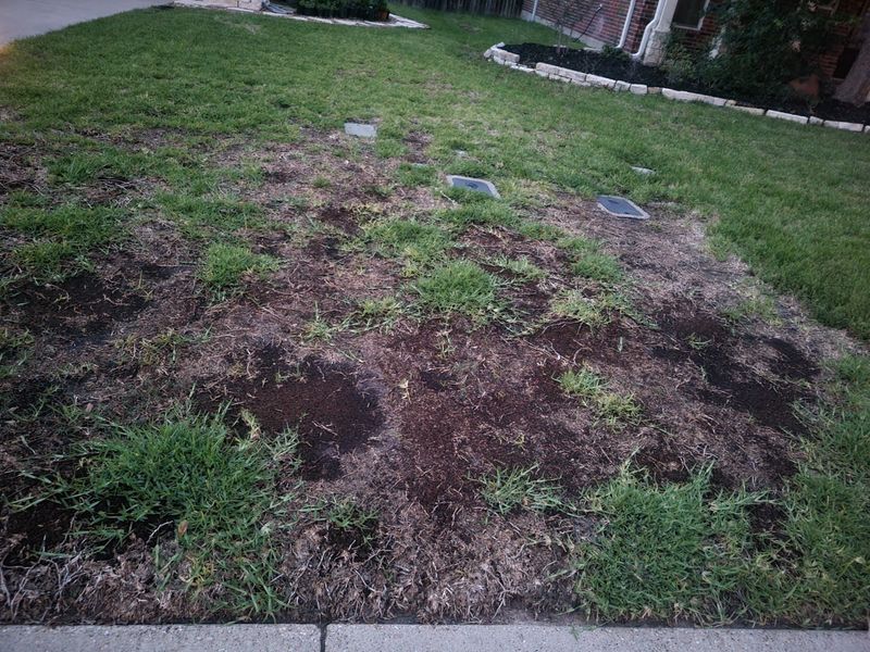 Start with the grass and its growth stage