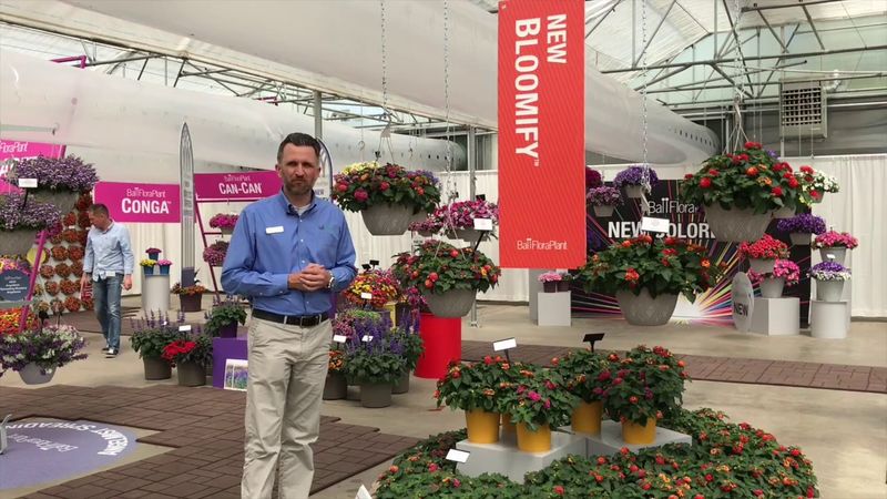 Sterile cultivars offer a separate option