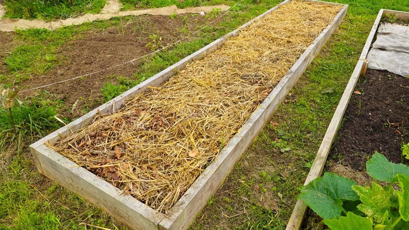 Straw Mulch Blanket Straw Mulch Blanket