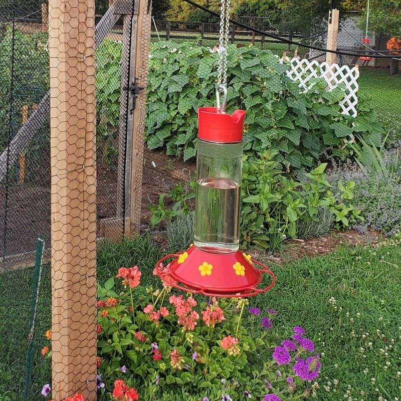 Sun May Affect Nectar Clarity, but It Cannot Diagnose a Quiet Feeder