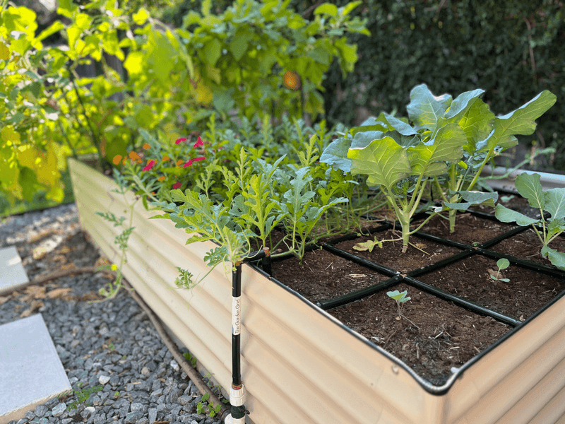 Support plants with suitable soil and moisture