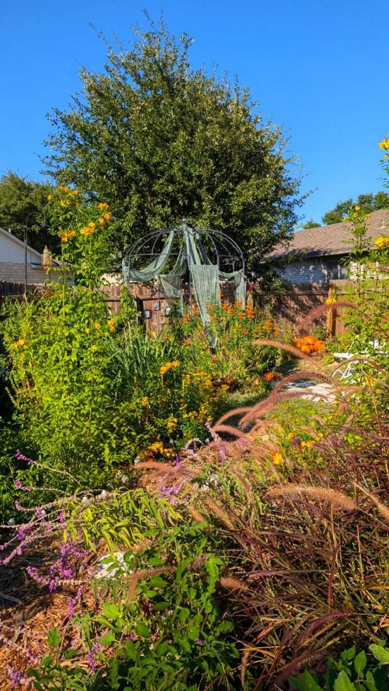 Support wildlife with a range of habitat features