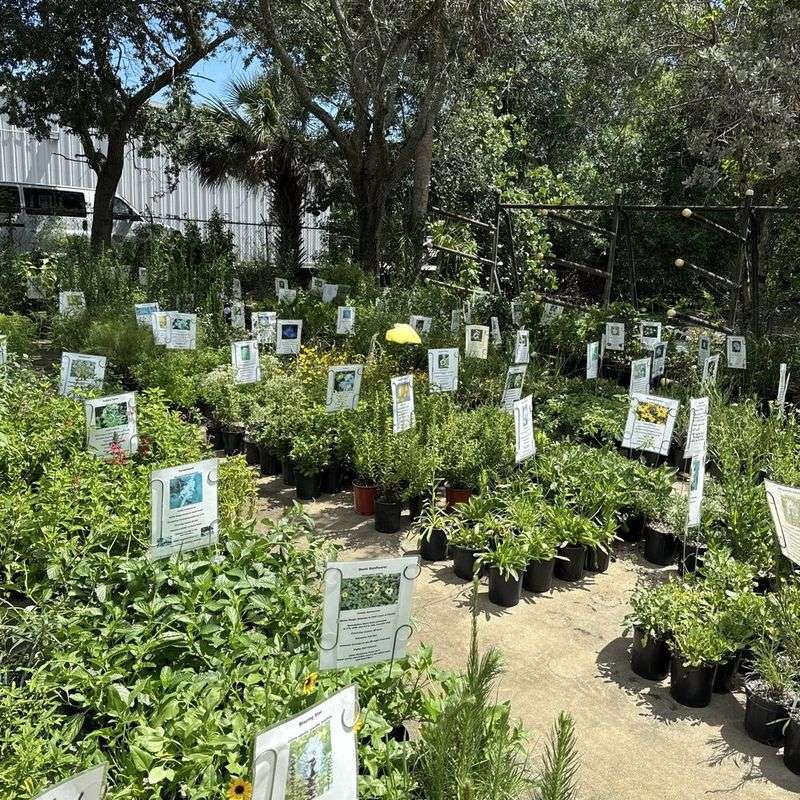 Sweet Bay Nursery in Parrish