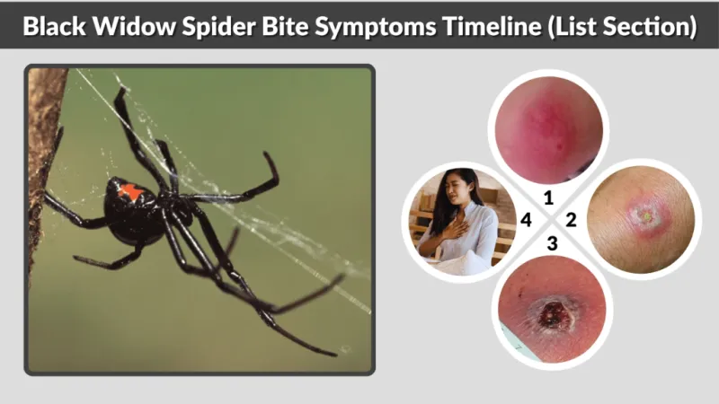 Symptoms can develop quickly, but timing varies