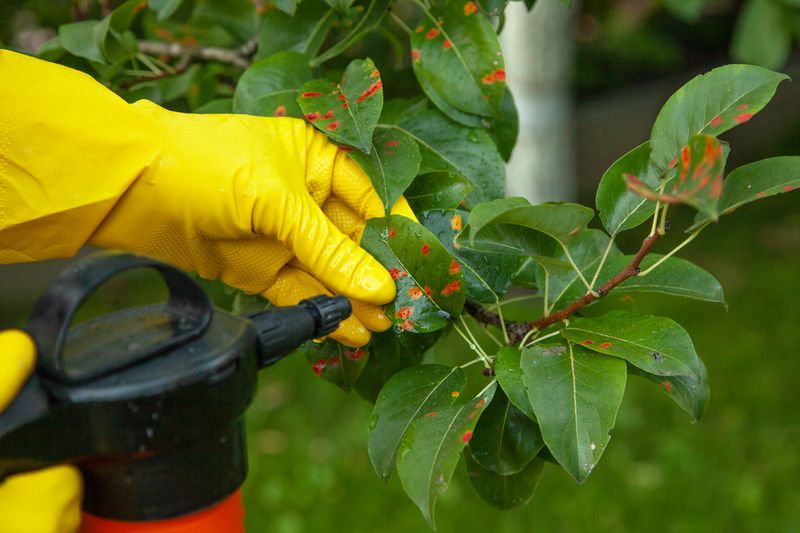 Target pesticide use to the problem