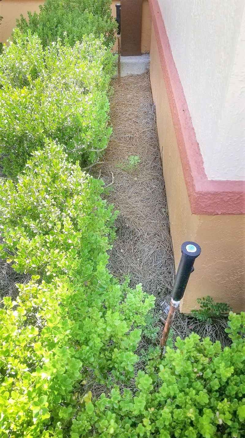 Targeted habits can reduce opportunities without clearing the yard Targeted habits can reduce opportunities without clearing the yard