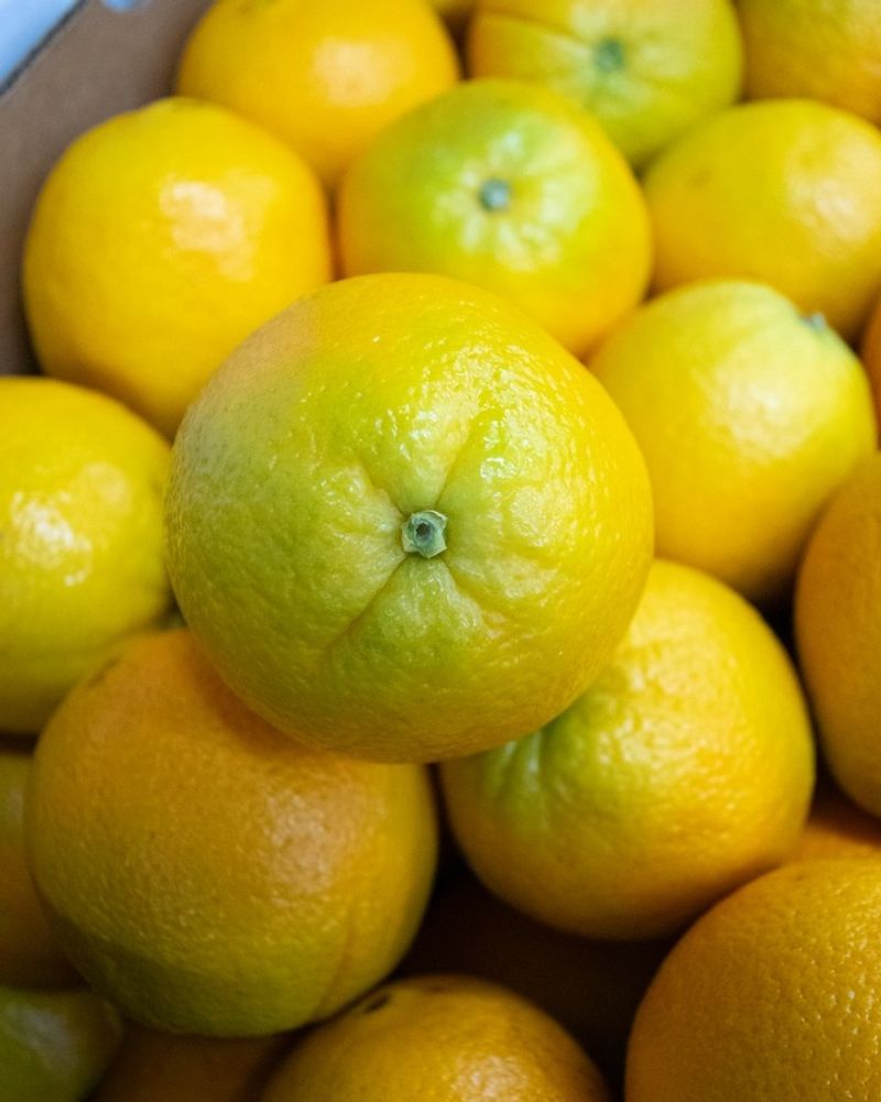 Taste a sample instead of waiting for orange peel
