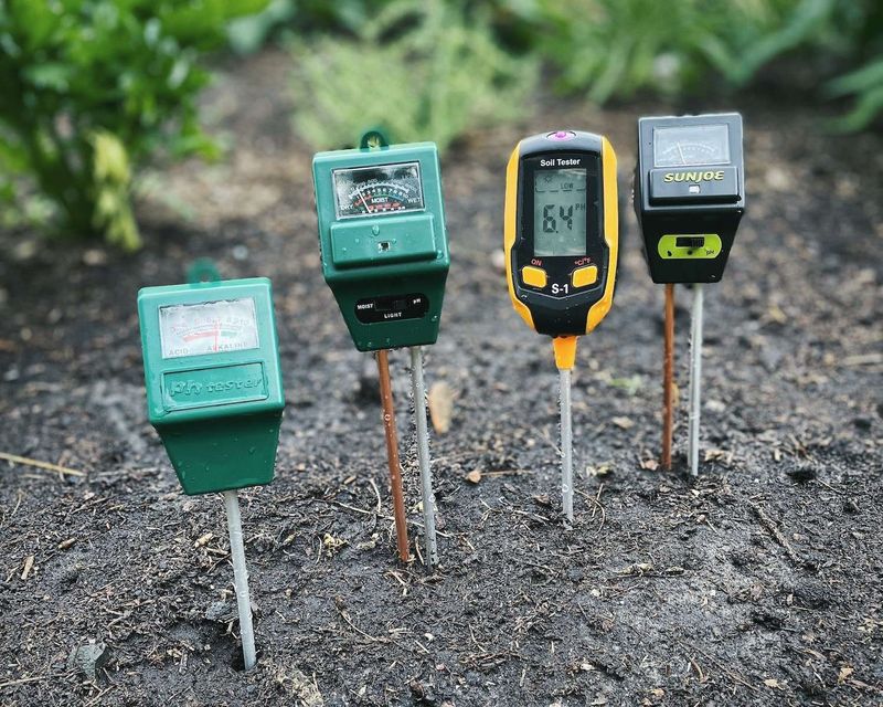 Test the soil before adding lime or fertilizer
