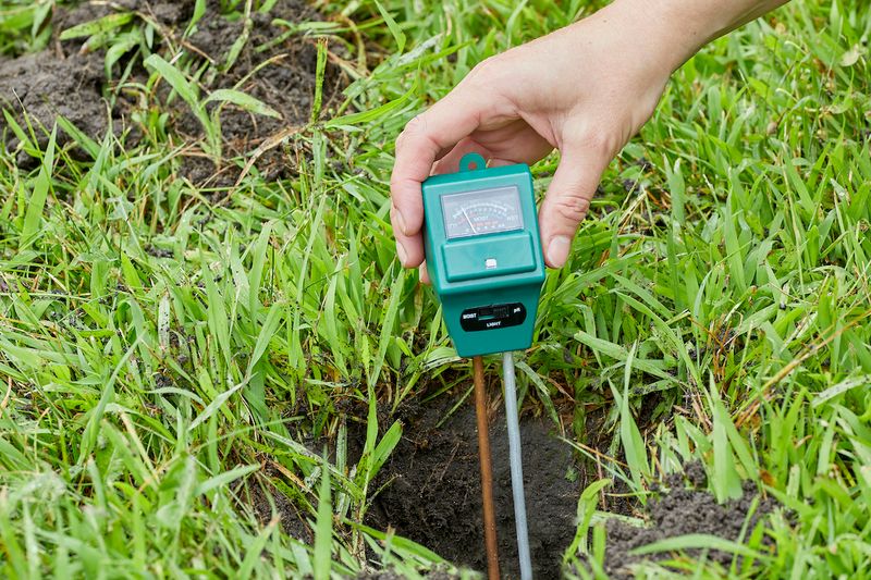 Test the soil before choosing an amendment