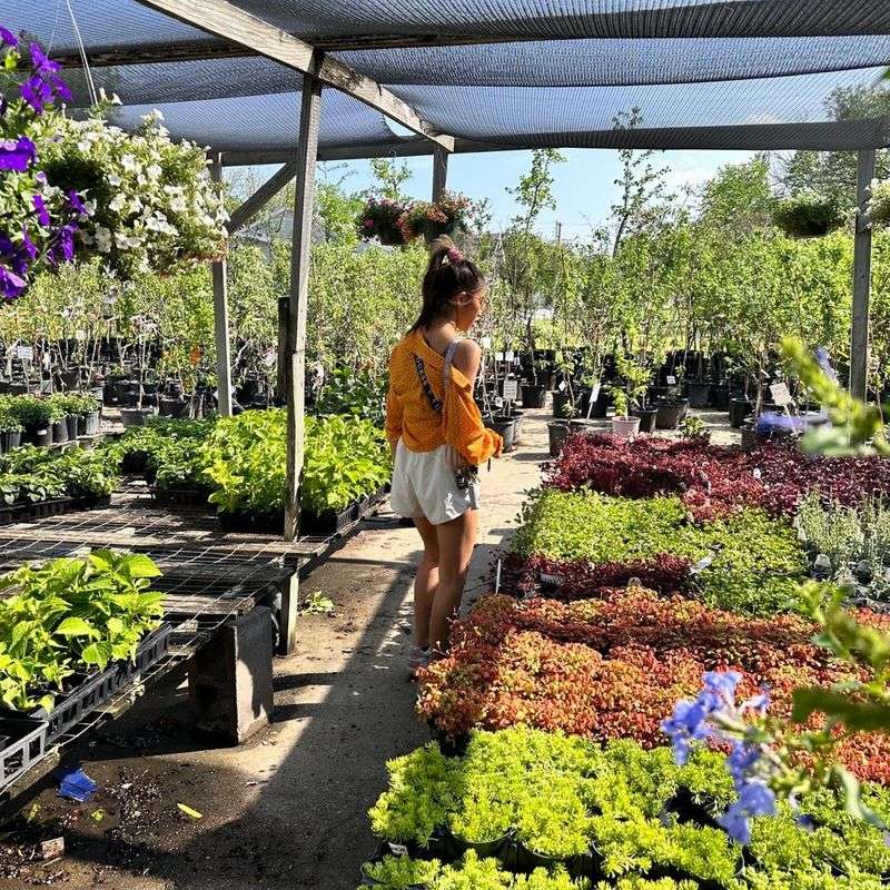 Texas Discovery Gardens Plant Sales in Dallas