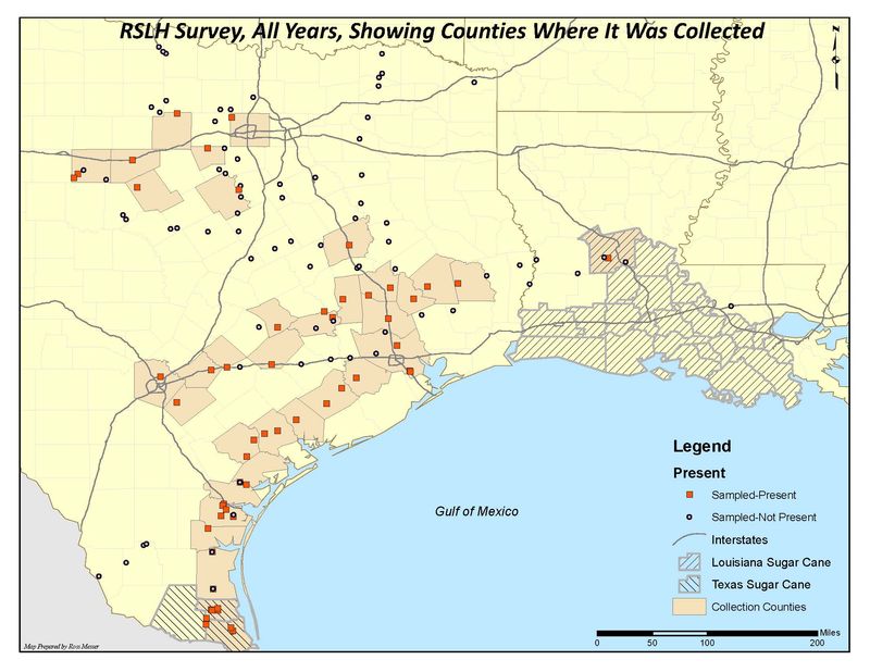 Texas records document presence, not a new fall lawn invasion