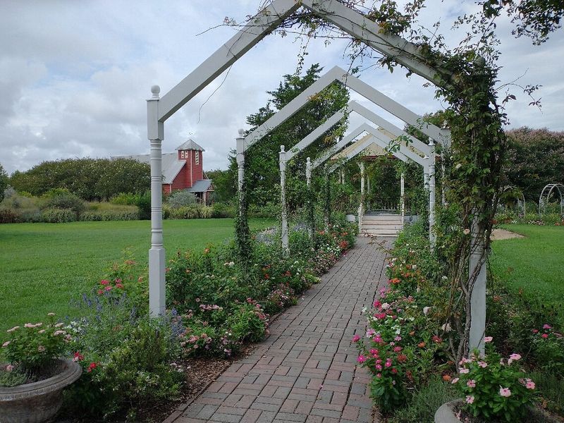 The Antique Rose Emporium, Brenham The Antique Rose Emporium, Brenham