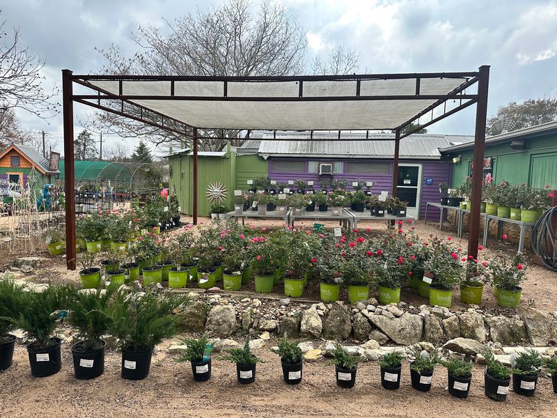 The Butterfly Garden The Butterfly Garden