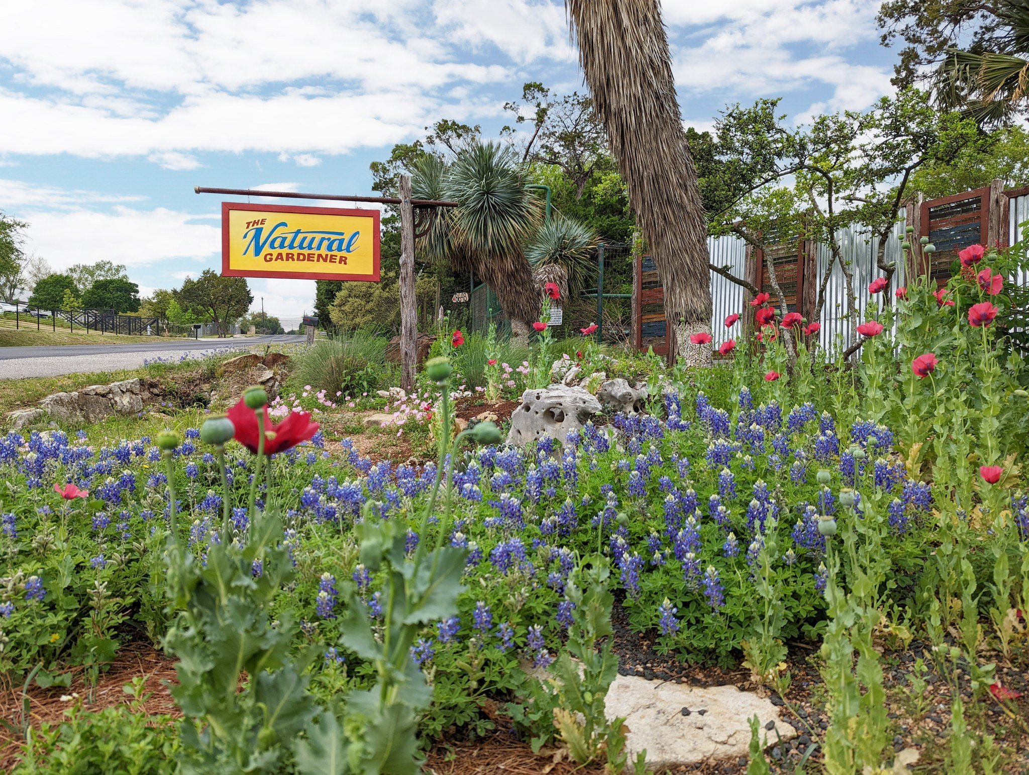 The Natural Gardener, Austin