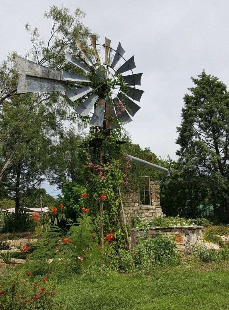 The Natural Gardener, Austin