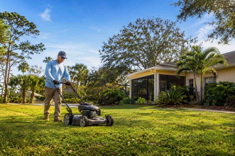 The Right Mowing Height The Right Mowing Height
