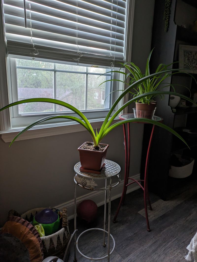 The bulb may need more stored energy