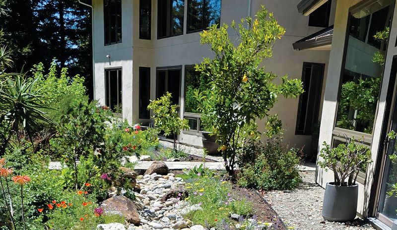 The five-foot zone has smaller, feature-specific plant-free buffers