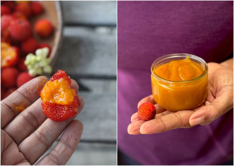 The fruit is edible, but it does not taste like a strawberry