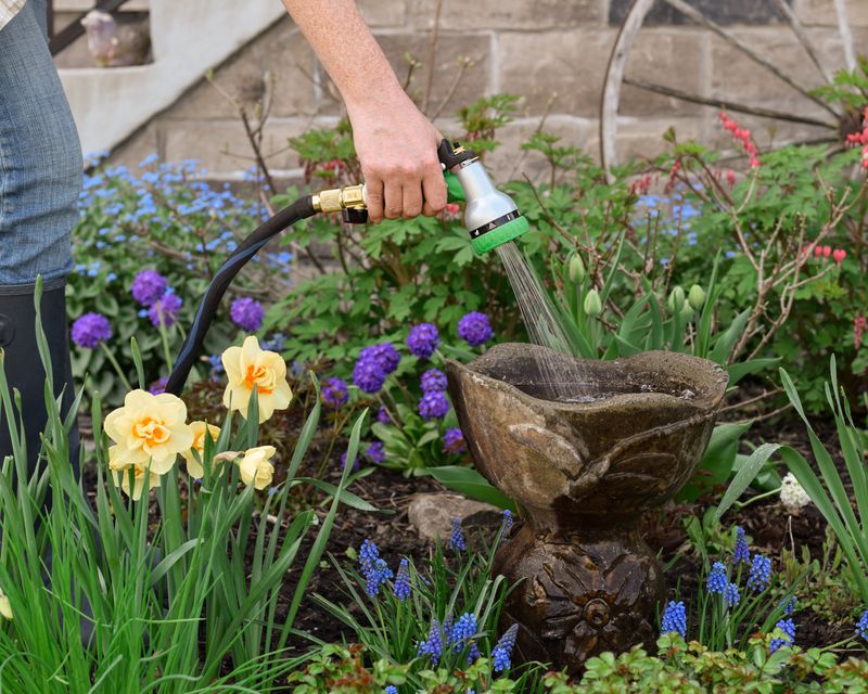 The mosquito safeguard is an empty-and-scrub routine