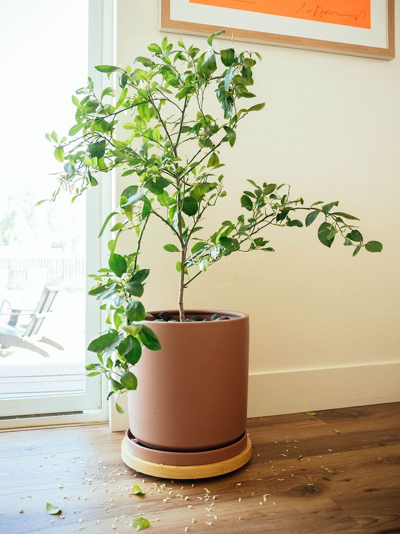 The move indoors is a clue, not a diagnosis