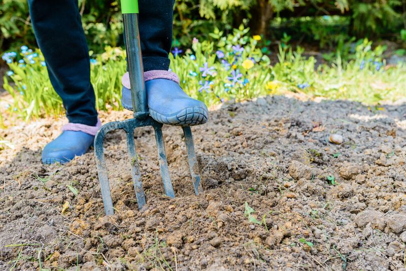 Tools That Make Digging Easier