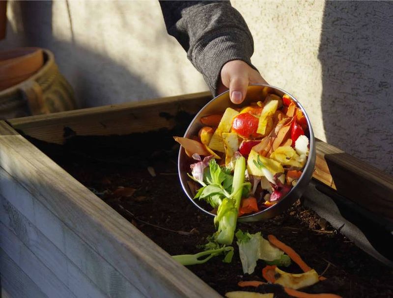 Tossing Kitchen Scraps on an Open Compost Pile