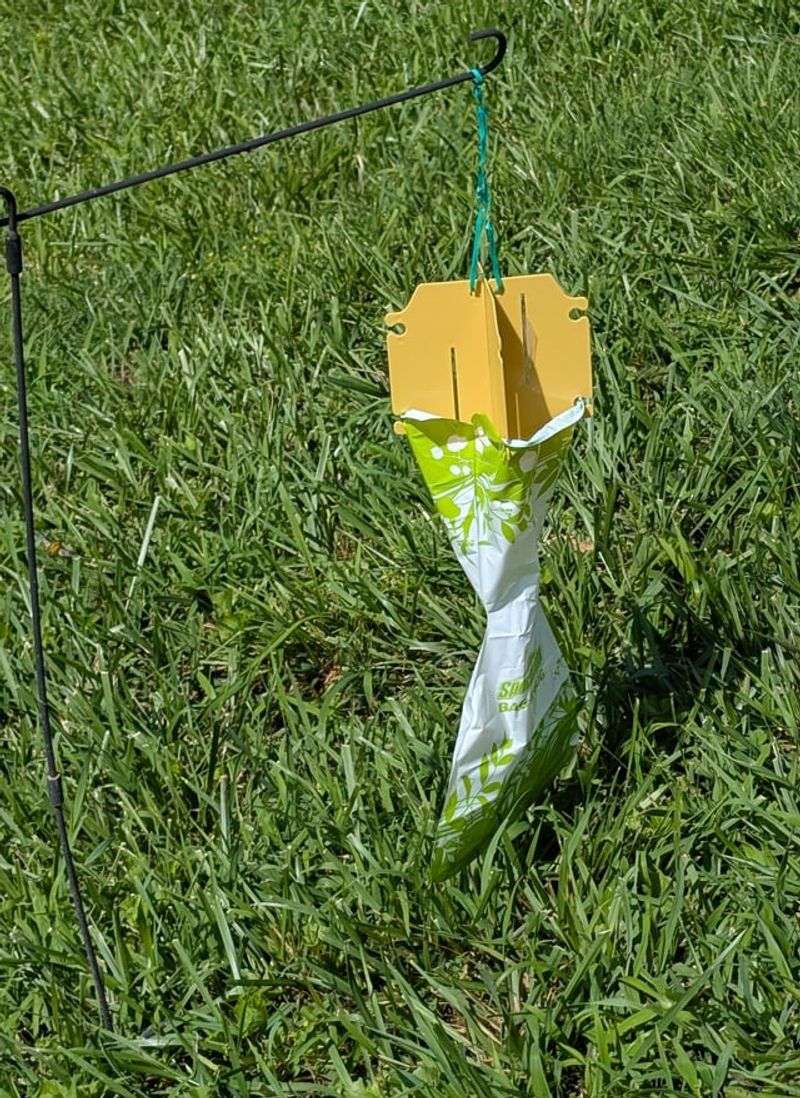 Traps and blanket sprays are not shortcuts to next summer's protection