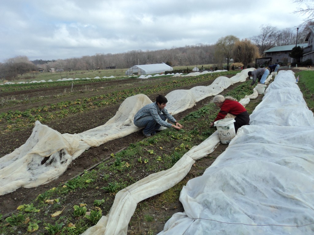Treat December picking as a chance, not a promise