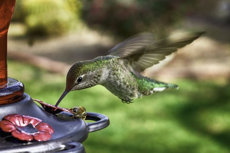 Treat fall as a reminder to continue routine feeder care