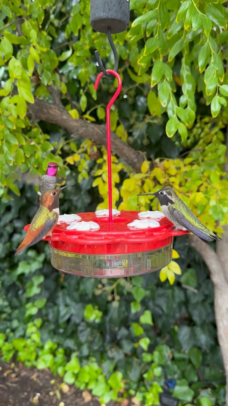 Treat feeders as optional support