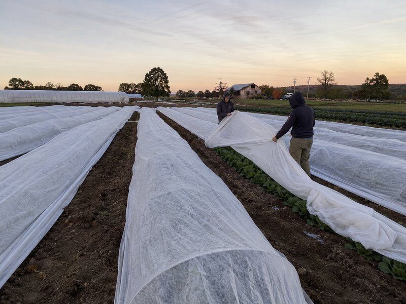 Treat frost cloth as a modest buffer